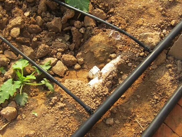迷宮式滴灌帶有什么優(yōu)點(diǎn)？